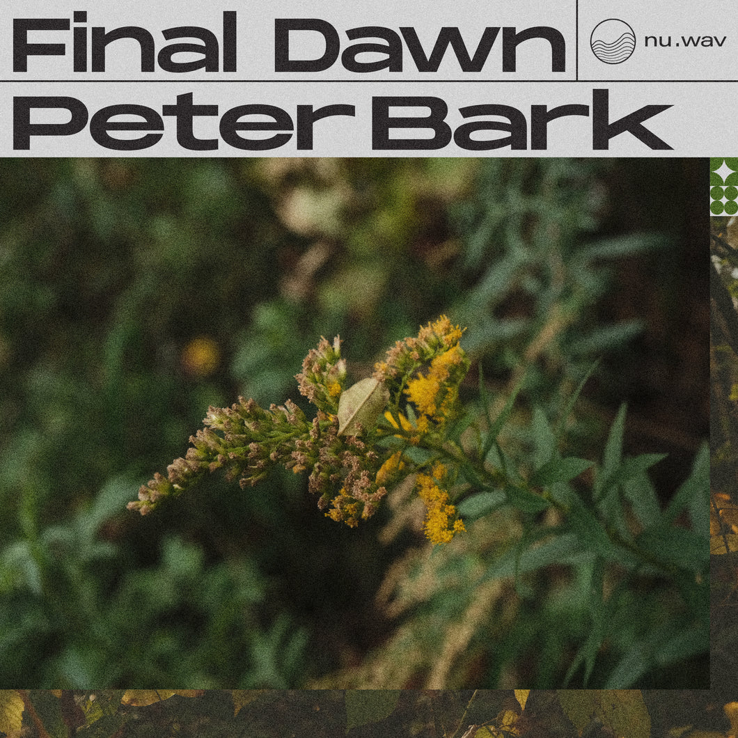 Peter Bark: Final Dawn