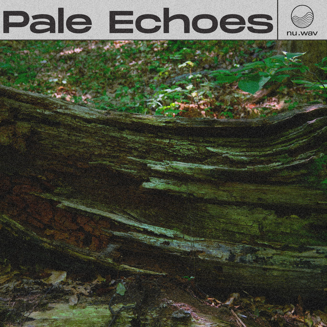 Pale Echoes